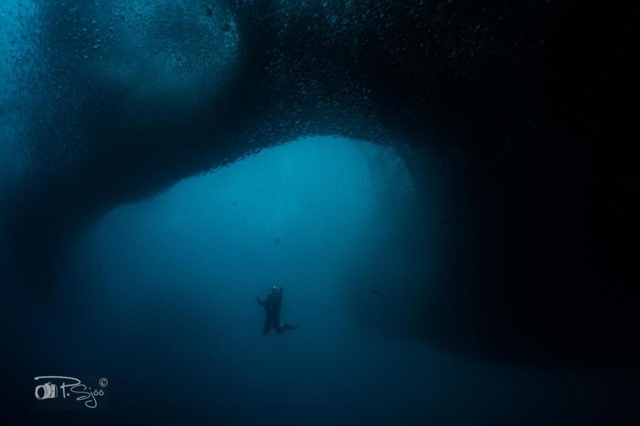 Divers Lodge Moalboal Buitenkant foto